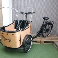 cargo Bike Curvy 