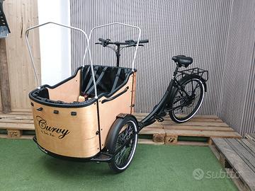 cargo Bike Curvy 
