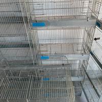 Gabbie zincate stock