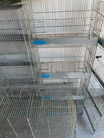 Gabbie zincate stock