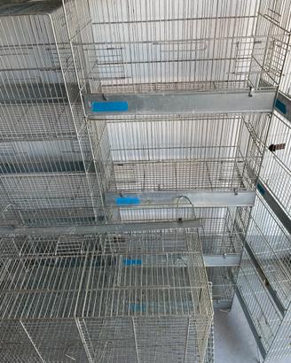 Gabbie zincate stock