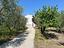 Immagine 27