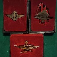 Distintivi di Reparti dell'Esercito R.S.I.