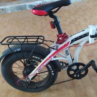 ebike