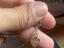 Immagine 4