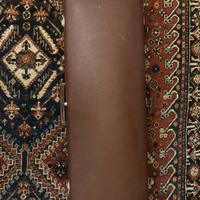 Custodie per violino