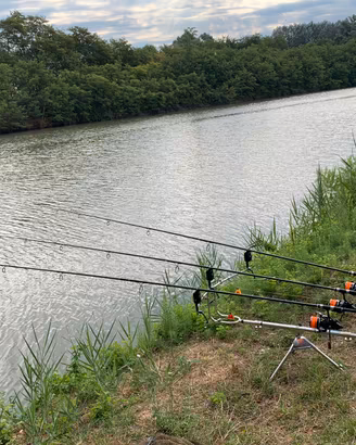 Rod pod amiaud carp’O mini