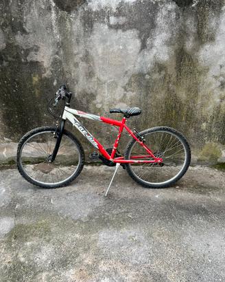 Bici MTB Frejus