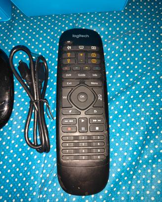Logitech Companion