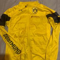 Tuta borussia Dortmund