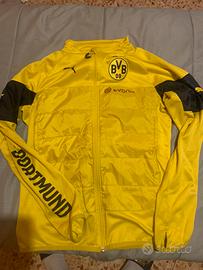 Tuta borussia Dortmund