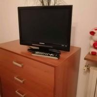 televisore, Telefunken 19 pollici con telecomando 