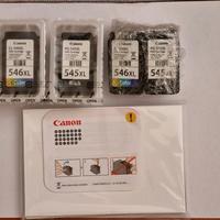 Cartucce Canon 545 XL black e 546XL color