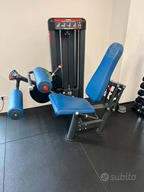 Leg extension/curl Panatta