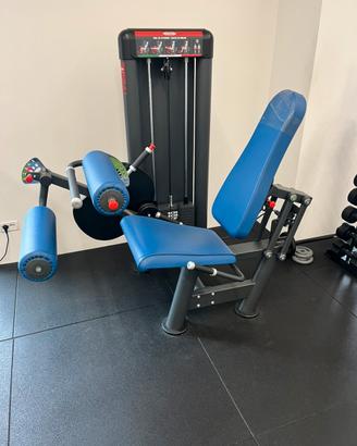 Leg extension/curl Panatta