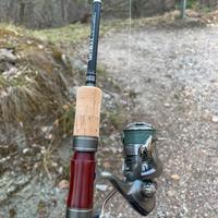 combo spinning trota cavedano Daiwa