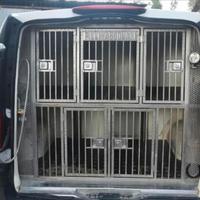 Mercedes Vito trasporto cani