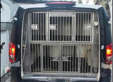 Mercedes Vito trasporto cani