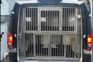 Mercedes Vito trasporto cani