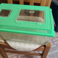 terrario per tartarughe di terra 