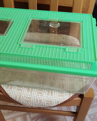 terrario per tartarughe di terra 