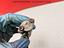 Immagine 3
