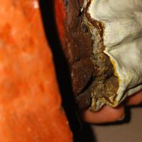 Statua antica in legno