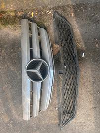 Mascherine griglia  Mercedes Classe B W245 dal 08