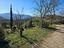 Immagine 13