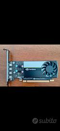 Scheda video NVIDIA T 1000