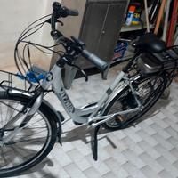 bici atala pedalata assistita