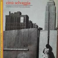 libro su new york