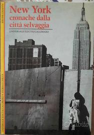 libro su new york