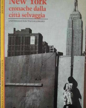 libro su new york
