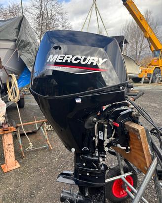 Motore mercury 25 fuoribordo