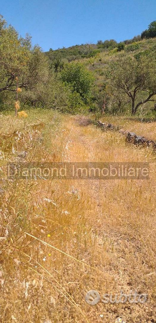 Terreno agricolo a Linguaglossa - Vista 3
