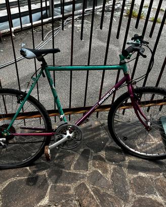 Bici usata