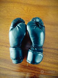 guantoni da box 