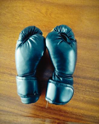 guantoni da box 