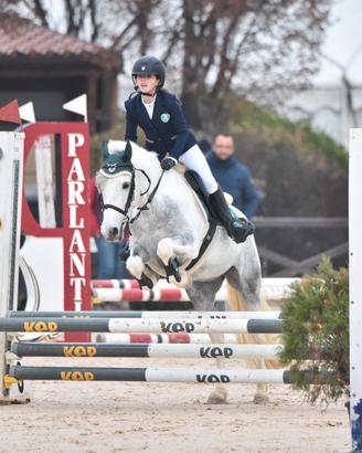  Pony di 6 anni  