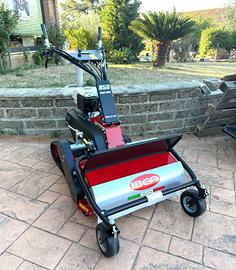 Trinciasarmenti cingolata IBEA modello 850 HD