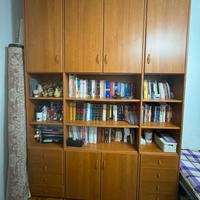 “Libreria legno massello 260x19