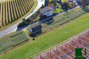 TERRENO AGRICOLO CON DEPOSITO