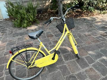 Bicicletta ragazza diametro ruota 24”