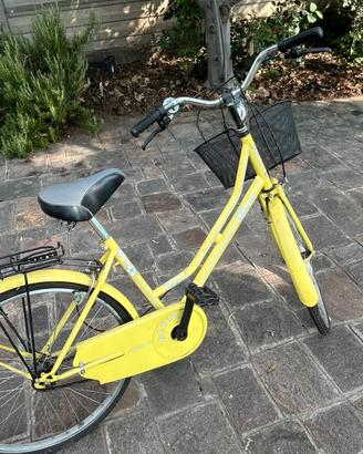 Bicicletta ragazza diametro ruota 24”