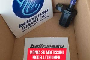 SMART IAT Belinassu per Triumph 