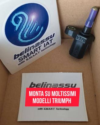 SMART IAT Belinassu per Triumph 