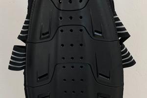 Tartaruga protezione motociclista