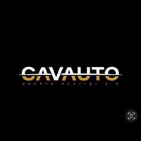 Alfa Romeo Stelvio 2.2 Turbodiesel 160 CV AT8 RWD 