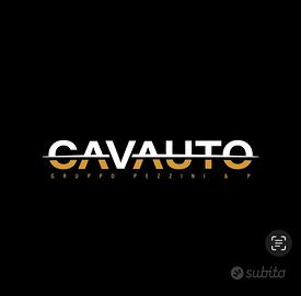 Alfa Romeo Stelvio 2.2 Turbodiesel 160 CV AT8 RWD 